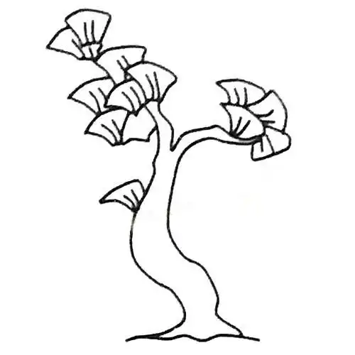 银杏树简笔画 黑白色银杏树画法 植物-第1张