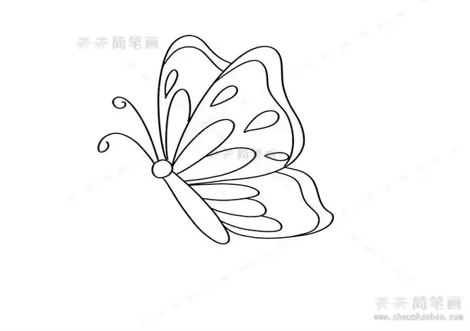 蝴蝶画法,蝴蝶简笔画,蝴蝶简笔画教程
