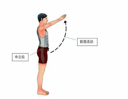 肩关节七个动作