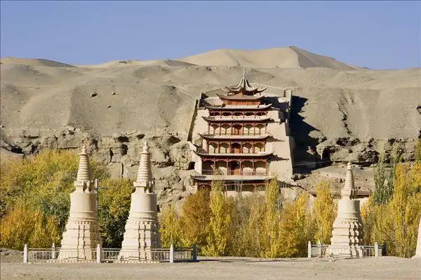 秋日的莫高窟,四周的树叶片已经发黄.