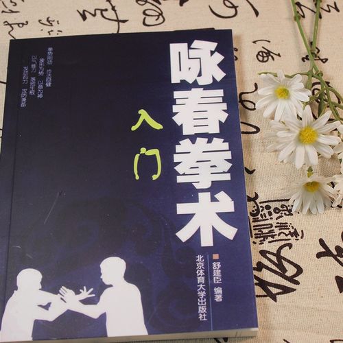 正版现货 咏春拳术 入门 8种基础拳法 咏春拳练习套路入门培训教学