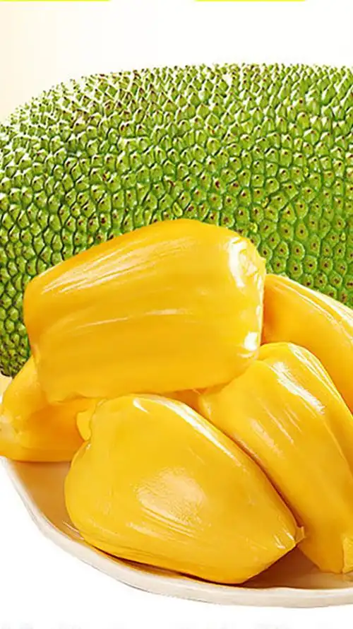 菠萝蜜介绍