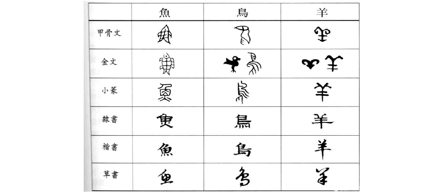 最新汉字的演变过程表