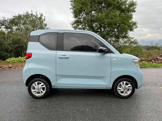 【金华二手车】2021年1月_二手五菱 宏光miniev 2021款 马卡龙时尚款