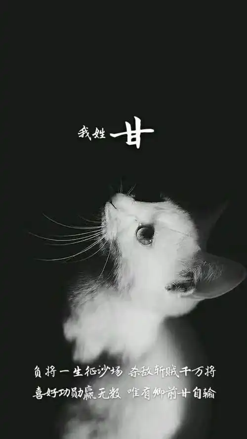 手机情话壁纸,你的姓氏,就是最美的情话