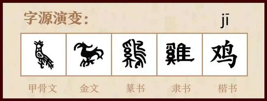 十二生肖之"鸡",光明的使者,"鸡"字的来源与解析