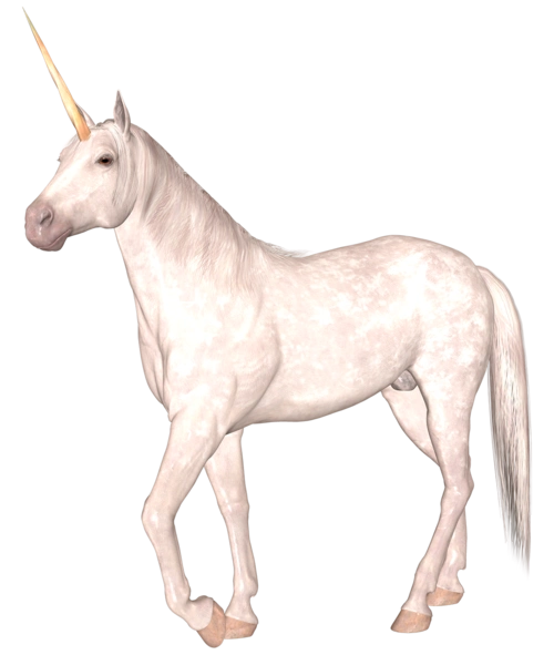 独角兽图片