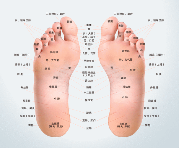 足部按摩 - 知乎