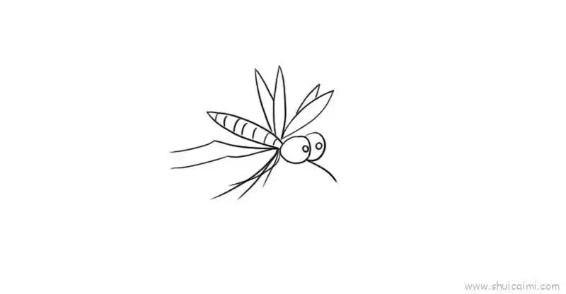 蚊子简笔画画法图解