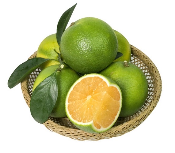 青橙手提袋水果生鲜单果100120g22kg左右