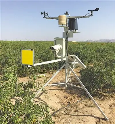 p> ←枸杞病虫害远程监测预警站. /p>