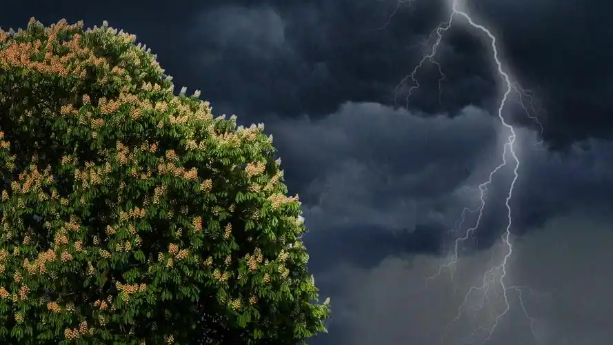 电闪雷鸣图片-风景壁纸-高清风景图片-第2图-娟娟壁纸