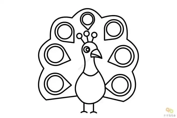 幼儿简笔画孔雀开屏简笔画