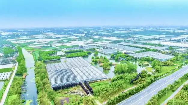 观察 | 和县蔬菜崛起之路