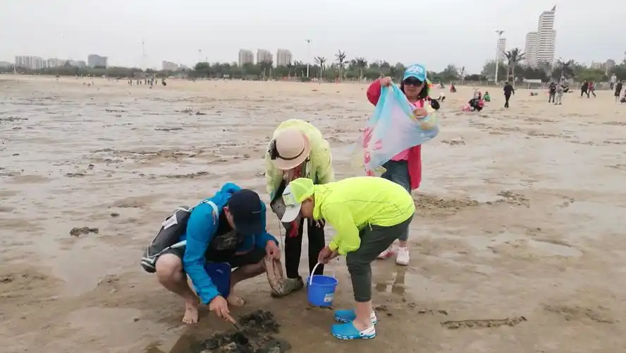 2017-5-29山海广场赶海拾贝(三)