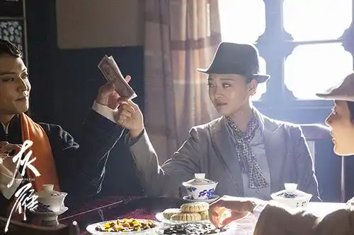 电视剧《灰雁》讲的是什么 谍战女英雄的国家信仰