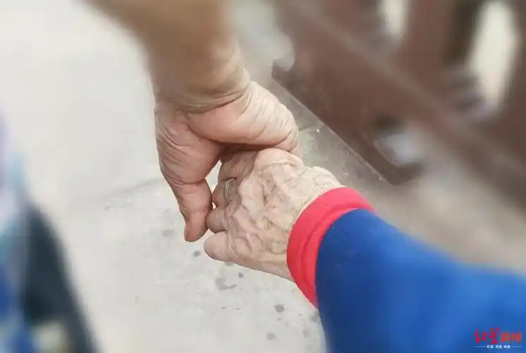 8旬老夫妻每天背小板凳牵手散步网友赞爱情最好的模样