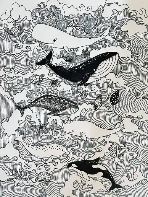 黑白装饰画手绘勾线笔鲸鱼