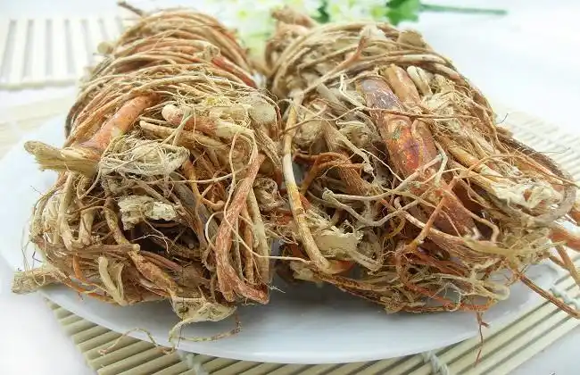 三指毛桃和五指毛桃的区别不锈钢卫生桶(三指毛桃和五指毛桃有何区别)