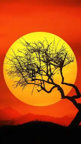 最美不过夕阳红 精选高清落日壁纸