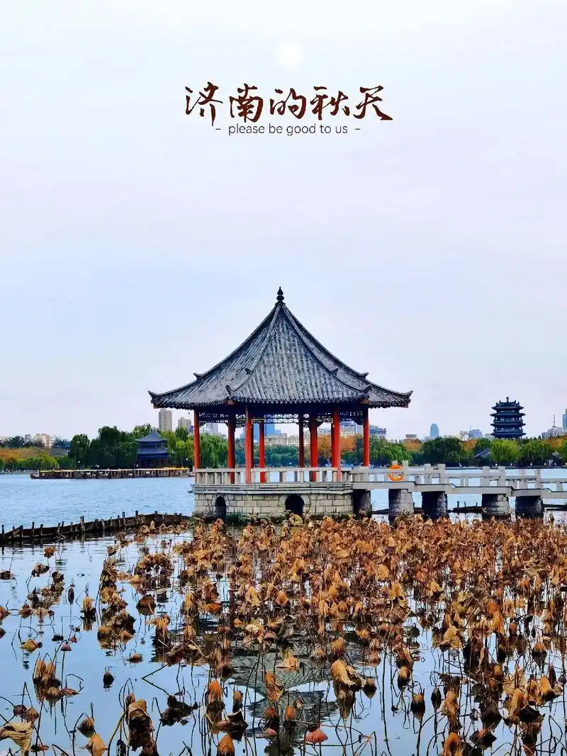 深秋济南·大明湖景区旅游攻略.11月的济南已经进入了秋天的最 - 抖音