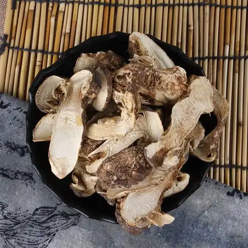 松茸菌干片