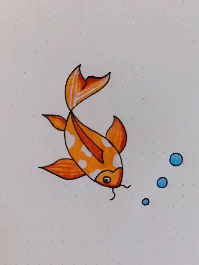 鲤鱼简笔画.祝2023的考生们鱼跃龙门,金榜起名.#高考加油 - 抖音