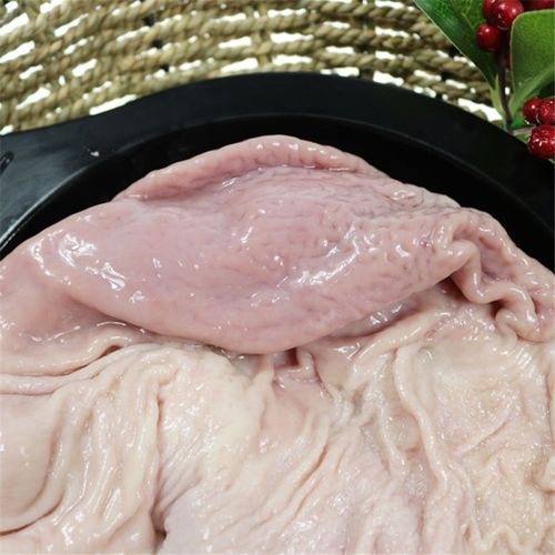 博多客火锅辅料 新鲜猪肚 新鲜生猪肚 散养猪肚 猪大肠肚 猪内脏 煲汤