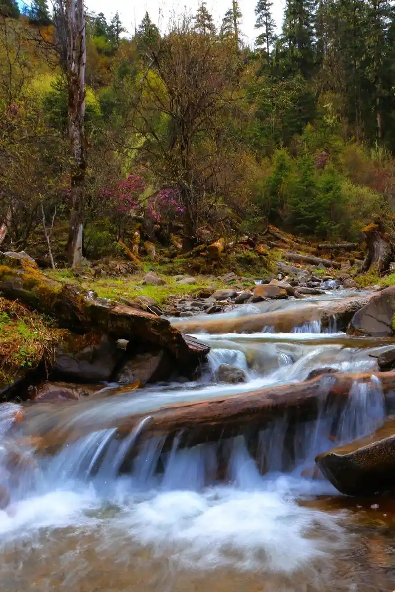 云雾缭绕人间仙境 @抖音小助手 #高山流水山水画  - 抖音
