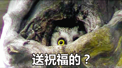 过年gif猫头鹰gif可爱gif萌萌哒gif送祝福的探头探脑gif