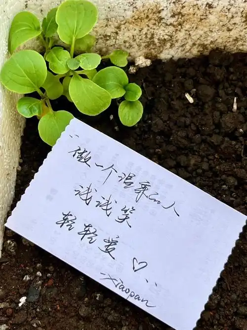 手写做一个温柔的人浅浅笑轻轻爱