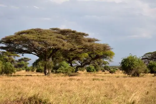 掀开非洲文明神秘面纱一角～东非三国见闻(人文篇) 制作:钱立信 魏