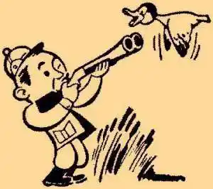 打鸟的英文打鸟英文怎么写打鸟用英语怎么说