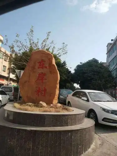 1月14日,白蕉镇东岸村除四害消杀