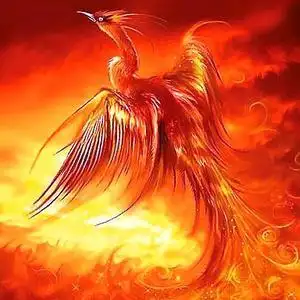 凤凰涅盘头像