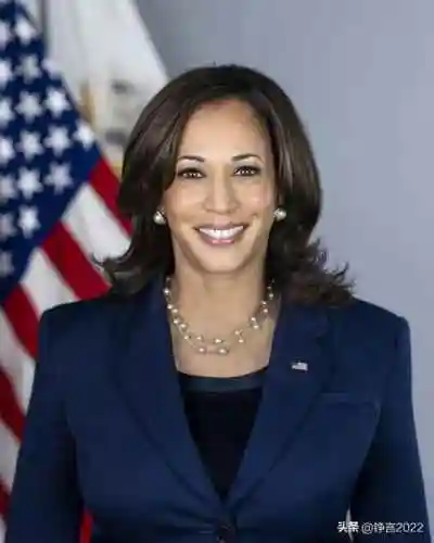 贺锦丽,美国首位女性副总统,是牙买加非裔与印度裔的后代之前有评论