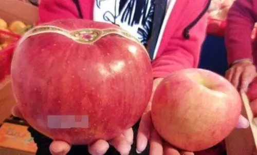 的苹果是产自日本青森的一个品种,名为世界一号苹果,这种水果气味有人