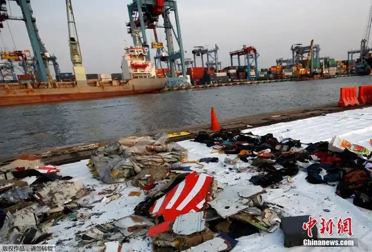 印尼坠机事件189人全部遇难 已打捞出遗体和部分残骸-中工国际-中工网