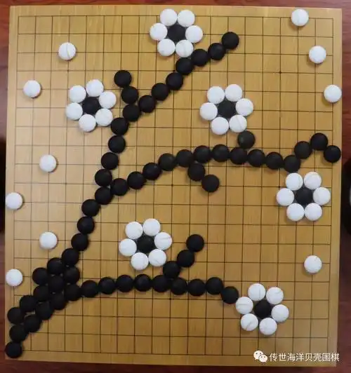 我是一枚来自大海深处的棋子