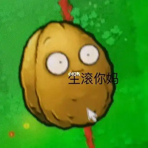 表情包 #植物大战僵尸 #坚果墙