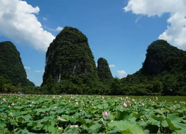 广西适合自驾游的4个景点,山水风景美如画,最后一个不容错过!