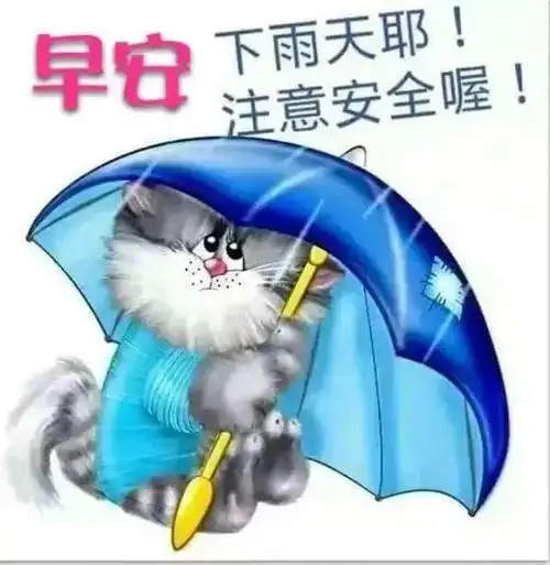 下雨天早上好图片唯美带字大全下雨天问候朋友的祝福语说说表情
