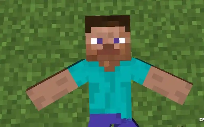 【我的世界动画】史蒂夫:mmp