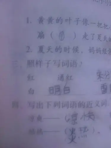 雪白雪白照样子写词语可以怎样写