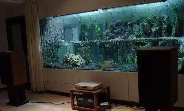 折腾| 杭州鱼友真牛b,砸墙吊车硬把6米大缸搬进家!_鱼缸