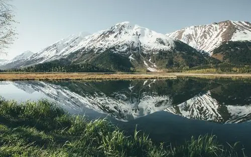 > 清新绿叶护眼风景电脑桌面壁纸第一辑(1600×900)