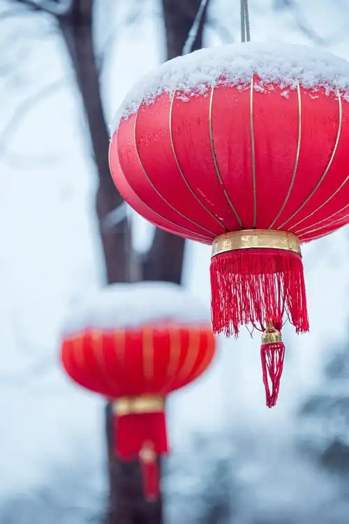 雪中红灯笼