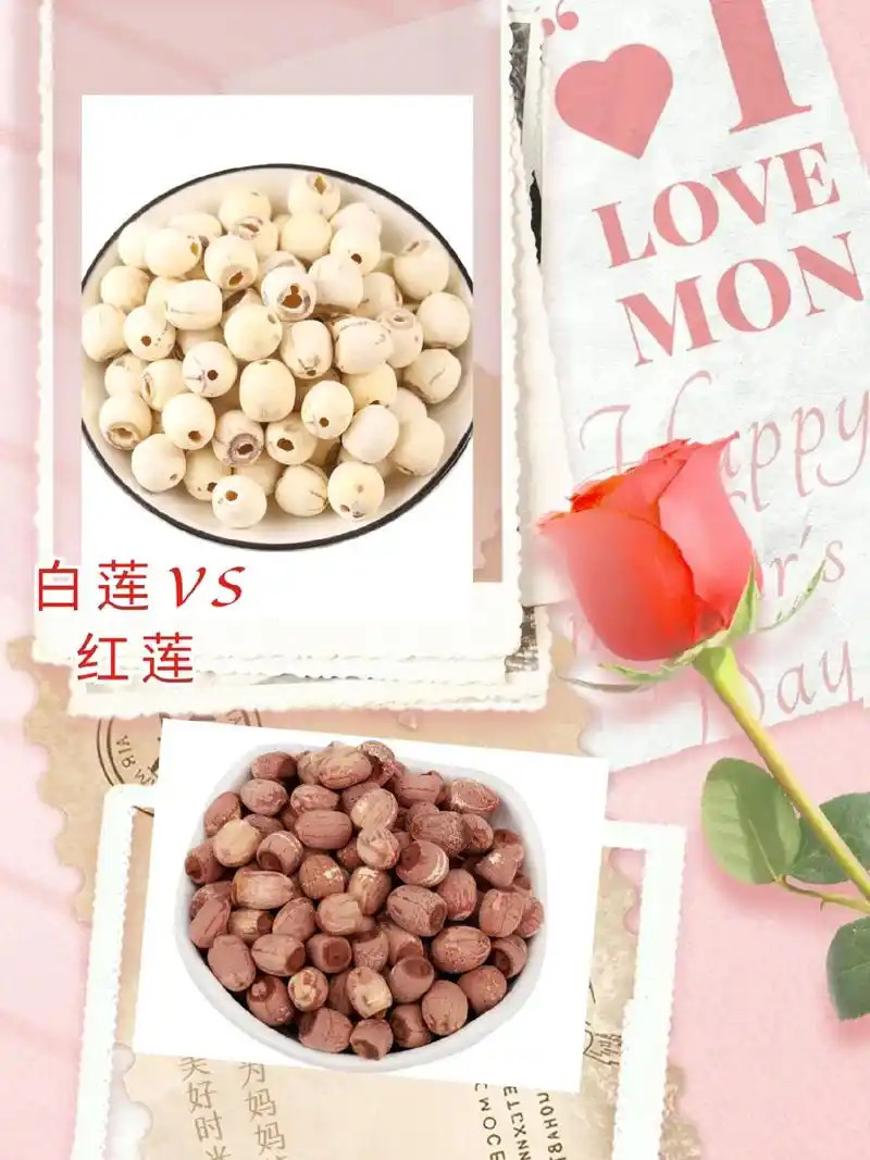 红莲子和白莲子的区别.红莲子vs白莲子#莲子 #秋季 #食疗 - 抖音