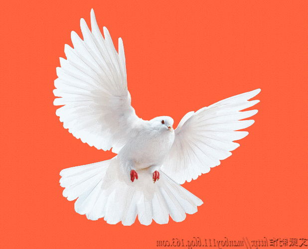 700_566gif 动态图 动图