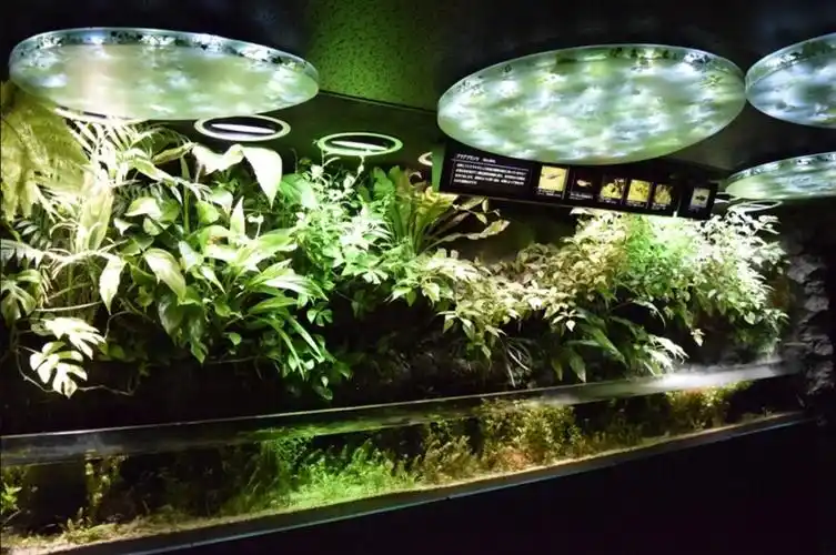 感受水与生命东京太阳城水族馆=思含